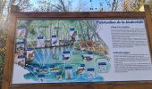 Excursión Senderismo Contrexéville - Contrexeville - Les lacs de la Folie, de saulxures et des récollets - Photo 19
