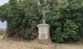 Tour Wandern Montsoreau - Montsoreau - Candes-Saint-Martin Fontevraud-l'Abbaye - 24.4km 435m 5h40 (45mn) - 2024 07 14 - Photo 6