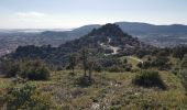 Trail Walking La Crau - La Crau, Fenouillet, Château d'Hyères - Photo 2