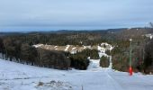 Trail Walking Stosswihr - La Schlucht Le Hohneck Le lac de La Lande Le Collet - Photo 11