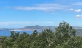 Tour Wandern La Cadière-d'Azur - LA CADIERE  - Photo 2