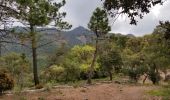 Randonnée Marche Fréjus - Col du Testanier - le mont vinaigre - Photo 1