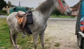 Trail Horseback riding Saint-Quirin - Dimanche 7 avril 24 kiboki  - Photo 1