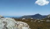Trail Walking Campile - Boucle de Monte Castellare - Photo 5