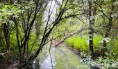 Tocht Stappen Borgworm - La promenade du Wachnet à Waremme - Photo 1