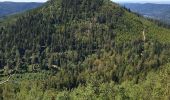 Trail Walking Grandfontaine - Positions fortifiées du Donon sentier des casemates - nord - Photo 19