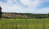 Randonnée Marche Condé-sur-Vire - Le rocher de Ham - Photo 4