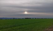 Tocht Stappen Comblain-au-Pont - autour d Oneux  - Photo 3