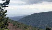 Tocht Stappen Wangenbourg-Engenthal - 2020-03-14 Marche Engenthal le bas - Photo 2