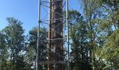 Randonnée Marche La Tour-de-Sçay - La tour des bois par le chemin des éolienne  - Photo 1