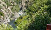 Excursión Senderismo Rodès - Gorges de la Guillera - Photo 9