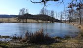 Tour Zu Fuß Schleiz - Rundwanderweg Weckersdorf - Photo 5