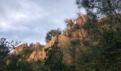 Randonnée Marche Le Muy - Le vallon du Leyron - Photo 5