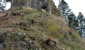 Tour Wandern Breitenbach - Col de la Charbonnière -Château de la Roche - Photo 1