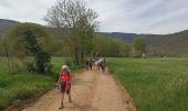 Trail Walking Nant - Nant Cantobre Nant - Photo 2