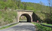 Tour Zu Fuß Wesertal - Eco-Pfad Wahlsburg - Photo 6