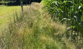 Tour  Attert - Balisage GR15 - Photo 2
