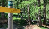 Tour Wandern Ceillac - De Chaurionde au lac Saint Anne - Photo 8