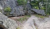 Tocht Stappen Fontainebleau - Fontainebleau Circuit Denecourt 2 réduit - Photo 15