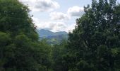 Excursión Senderismo Saint-Nectaire - TOUR DU PUY D' ERAIGNE DEPUIS LE CAMPING 