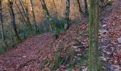 Trail Walking Rieupeyroux - rieupeyroux  petit parcours  - Photo 1