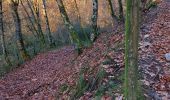 Excursión Senderismo Rieupeyroux - rieupeyroux  petit parcours  - Photo 1