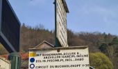 Tocht Stappen Lutzelbourg - Sentier des Roches et vallée des éclusiers - Photo 10