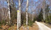 Tour Wandern Saint-Julien-en-Vercors - Pas des Voutes-Pas de l'Allier depuis St Julien en Vercors - Photo 20