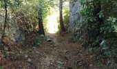 Tour Wandern Roquefort-la-Bédoule - Le Grand Caunet/ Chap St André/vieux Roquefort  - Photo 5