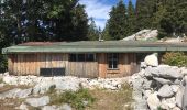 Excursión Senderismo Corrençon-en-Vercors - Rocher de la Balme-cabane de Goupette - Photo 2