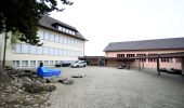 Trail On foot Zurich - Witikon - Maur Schiffstation - Photo 4