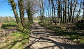 Trail Walking Rieupeyroux - Tour du Pradal - Photo 1