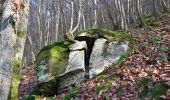 Tour Zu Fuß Ellscheid - HeimatSpur Antoniusweg - Photo 9