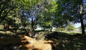 Trail Walking Le Tholy - sentier du blaireau jusqu'en Ecosse - Photo 8