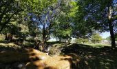 Tocht Stappen Le Tholy - sentier du blaireau jusqu'en Ecosse - Photo 8