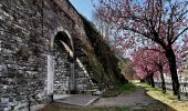 Trail On foot Brunate - Lake Como Poetry Way - Photo 8