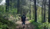 Trail Walking Bouillon - sabots de Godefroid  - Photo 8