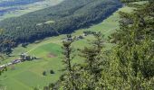 Trail Walking Bouvante - col du carri - Photo 6