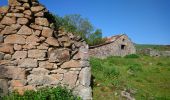 Trail Walking Laveissière - Cantal - Cheyrouze (Laveissière) - Puy de Seycheuse - 14.8km 600m 5h35 - 2019 06 30 - Photo 4