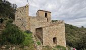 Tour Wandern Rocbaron - Sainte Philomène depuis le col de la Bigue  - Photo 6