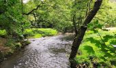 Trail Walking Houffalize - Promenade vers la roche plate - Photo 2