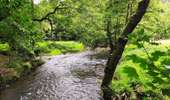 Trail Walking Houffalize - Promenade vers la roche plate - Photo 2