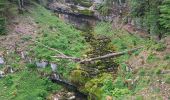 Trail Walking Les Planches-en-Montagne - Les Planches en Montagne Gorges de la Langouette  - Photo 9