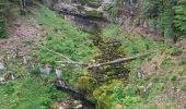 Tocht Stappen Les Planches-en-Montagne - Les Planches en Montagne Gorges de la Langouette  - Photo 9