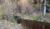 Tour Wandern Malmedy - Ferme Libert - Photo 15