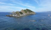 Excursión Senderismo Hyères - Tour ouest de la presqu'île de Giens - Photo 1