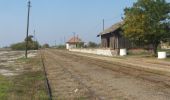 Percorso A piedi Gádoros - K+ (Árpádhalom - Orosháza Gyopárosfürdő - Gádoros) - Photo 1