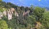 Randonnée A pied Tirol - Tirolo - Weinweg - Photo 6