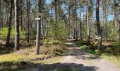 Trail Walking Ormoy-le-Davien - Ormoy - Cave du diable  - Photo 2