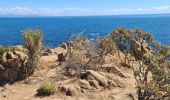 Tocht Stappen Ramatuelle - bonne terrasse Camarat - Photo 9